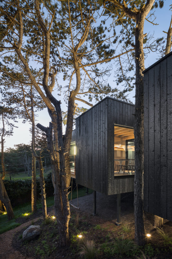 Treehouse Emma Treehouse - Artravel Magazine